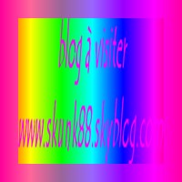 blog a visiter
